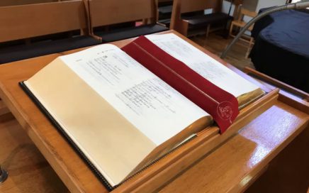 ニュースレター11月24日号